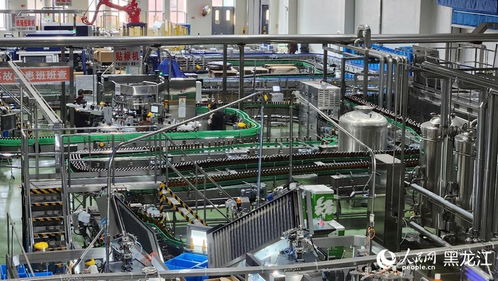 民營企業進邊疆，共尋龍江熱土發展機遇——生物技術研發的藍海與擔當