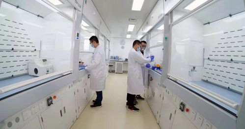 煙臺(tái)業(yè)達(dá)孵化中心入孵企業(yè)ADC新藥申報(bào)臨床，區(qū)域生物技術(shù)研發(fā)迎來新突破