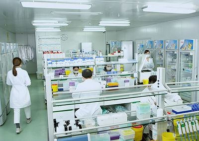 亞輝龍一季度凈利潤(rùn)預(yù)計(jì)激增超10倍，生物技術(shù)研發(fā)引領(lǐng)業(yè)績(jī)爆發(fā)