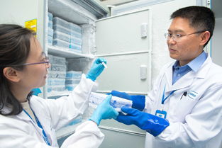 生物科技 驅(qū)動(dòng)藥物研發(fā)新紀(jì)元的創(chuàng)新引擎