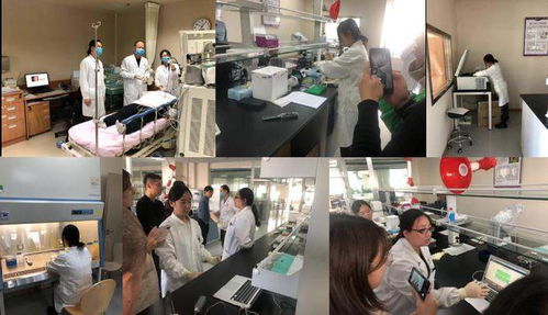 一手緊抓檢測(cè)試劑，一手研發(fā)智能終端 源生康泰雙管齊下的生物技術(shù)攻堅(jiān)戰(zhàn)